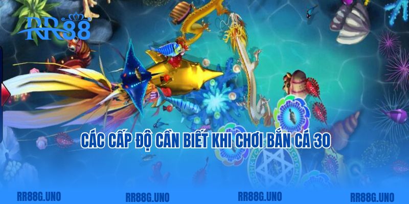 Các cấp độ cần biết khi chơi bắn cá 30 